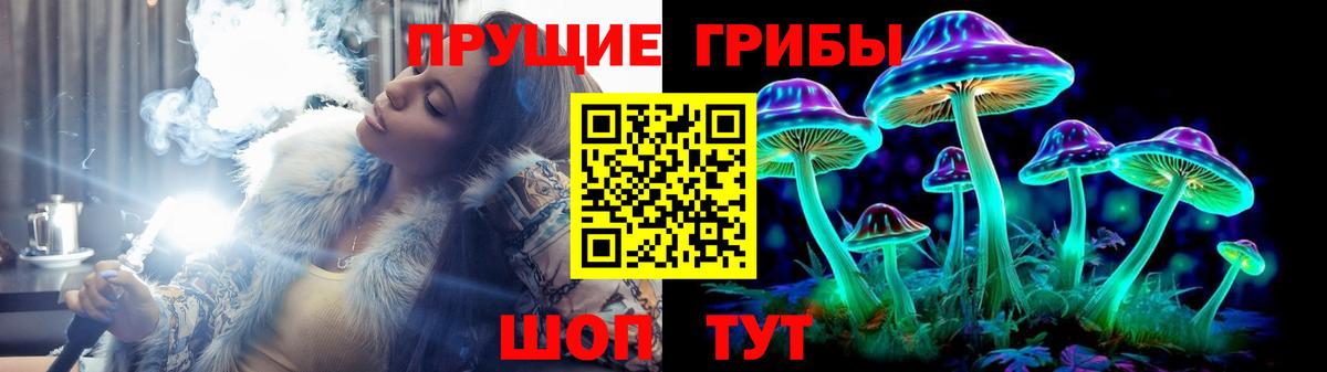 Североуральск  Галлюциногенные грибы GOLDEN TEACHER  Вход с VPN 